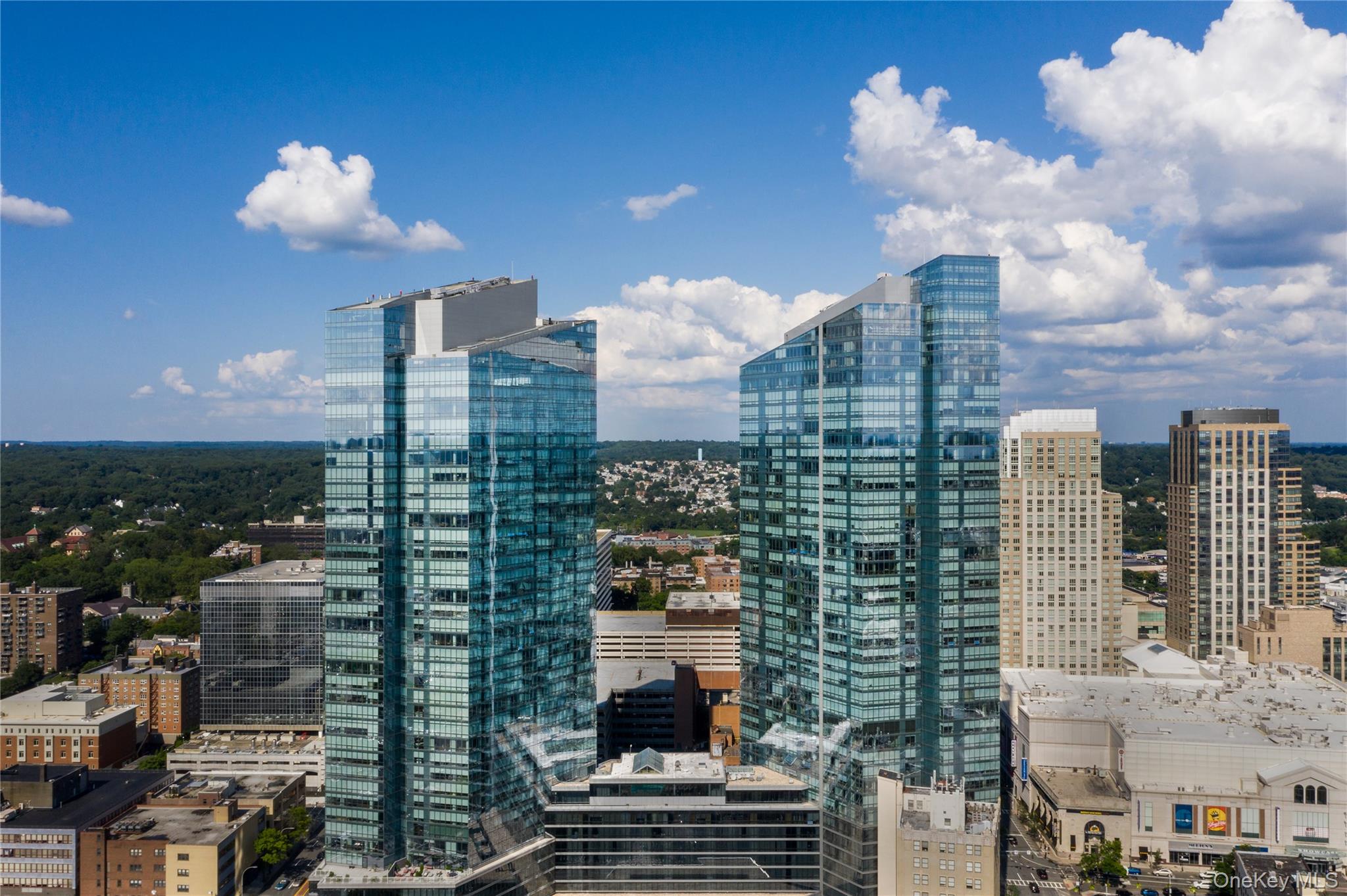 Designed to the highest standards, it is a luxury haven in the city center. The Ritz Carlton Residences of Westchester! Located in the North Tower, offering amazing amenities: patio, pool, 2 fitness centers, 2 outdoor terraces, spa, movie theater! Walk to RR or take jitney, walking to shops, movies, impressive restaurants!