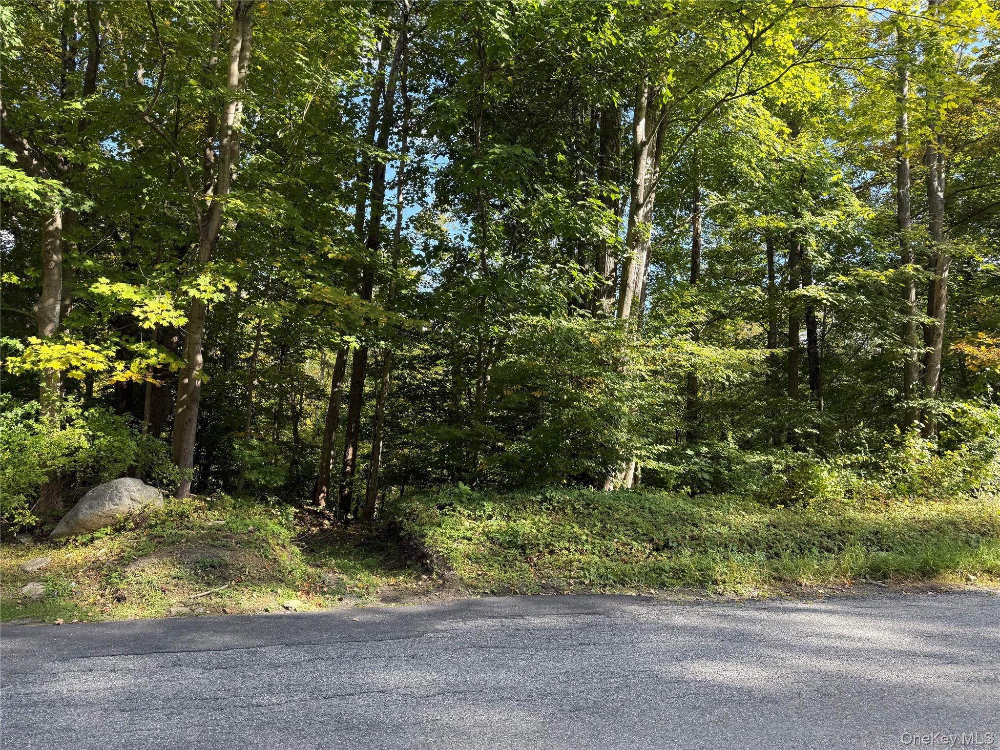Build Your Dream Home in Carmel!Discover an exceptional opportunity with this .79-acre parcel of raw land, perfectly located in one of Carmelâ€™s most sought-after areas. This property offers a blank canvas ready for your visionâ€”whether youâ€™re planning your forever home or an investment project.Enjoy the convenience of being just minutes from Lake Carmelâ€™s dining, shopping, and recreation, as well as close proximity to I-84, the Southeast Train Station, Brewster, and Centennial Golf Course.Not currently BOH approved. Buyer to conduct their own due diligence. Property is the vacant land in between 26 and 40 Ludington Ct.