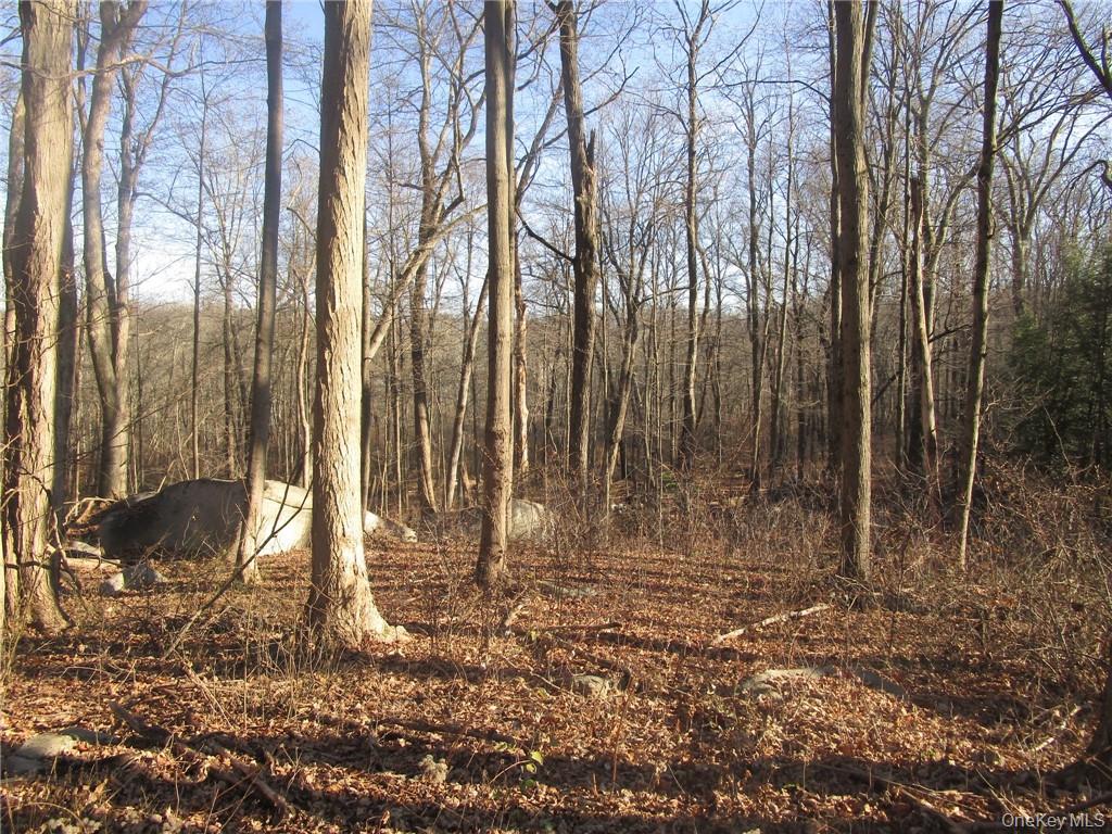 Amazing opportunity to own a large parcel of land in a convenient area. 2 separate tax lots being sold as a package deal with 16.3 total acres.