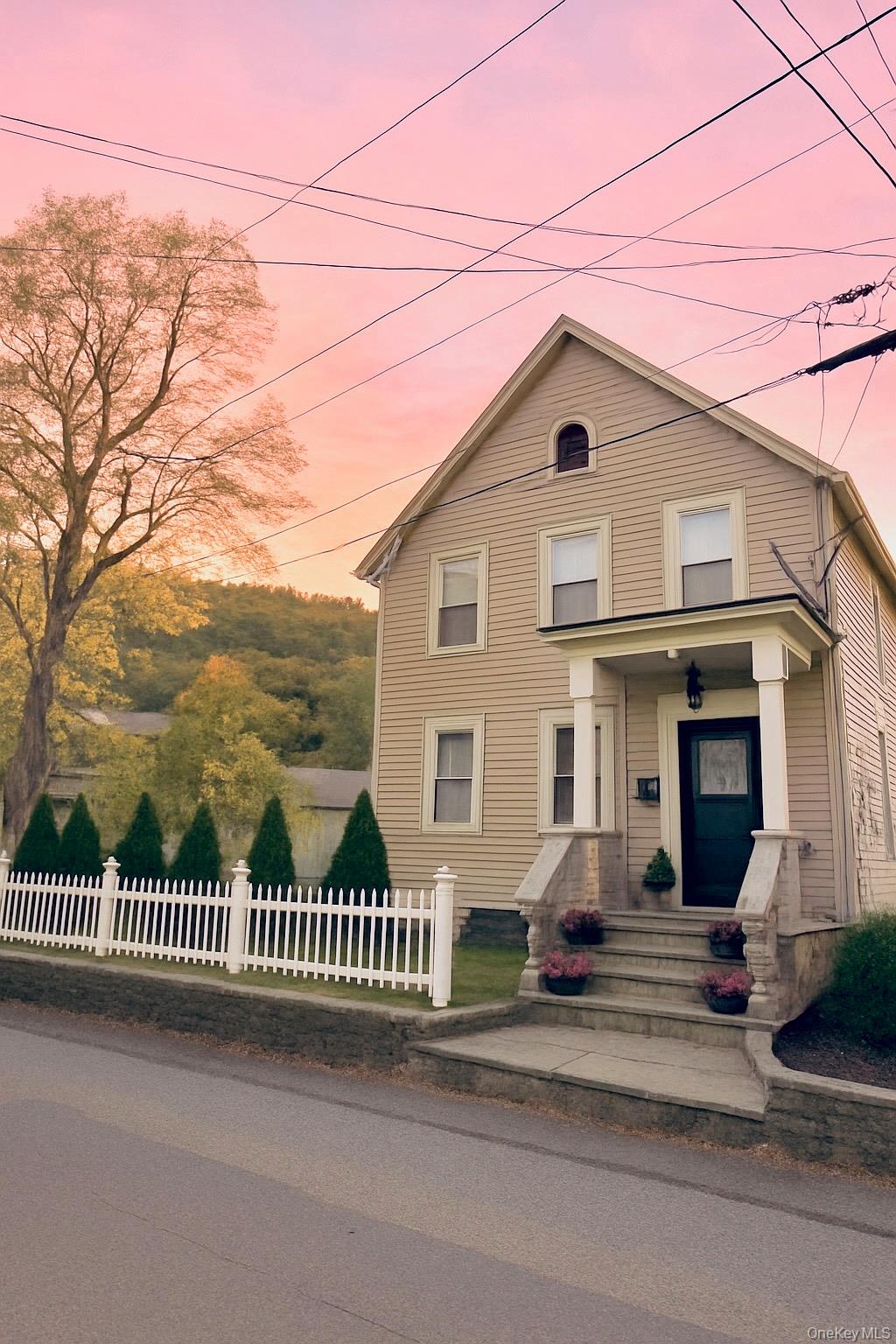 Welcome to this perfect starter home in the historic city of port jervis this home was newly renovated in 2019. Features 3 bedrooms 1 1/2 baths with stainless steel appliances. Open Concept layout perfect for entertaining .Additional mudroom space for storage 1 car garage backyard with above ground pool on a dead end block . Donâ€™t miss out on this opportunity wonâ€™t last long !!!