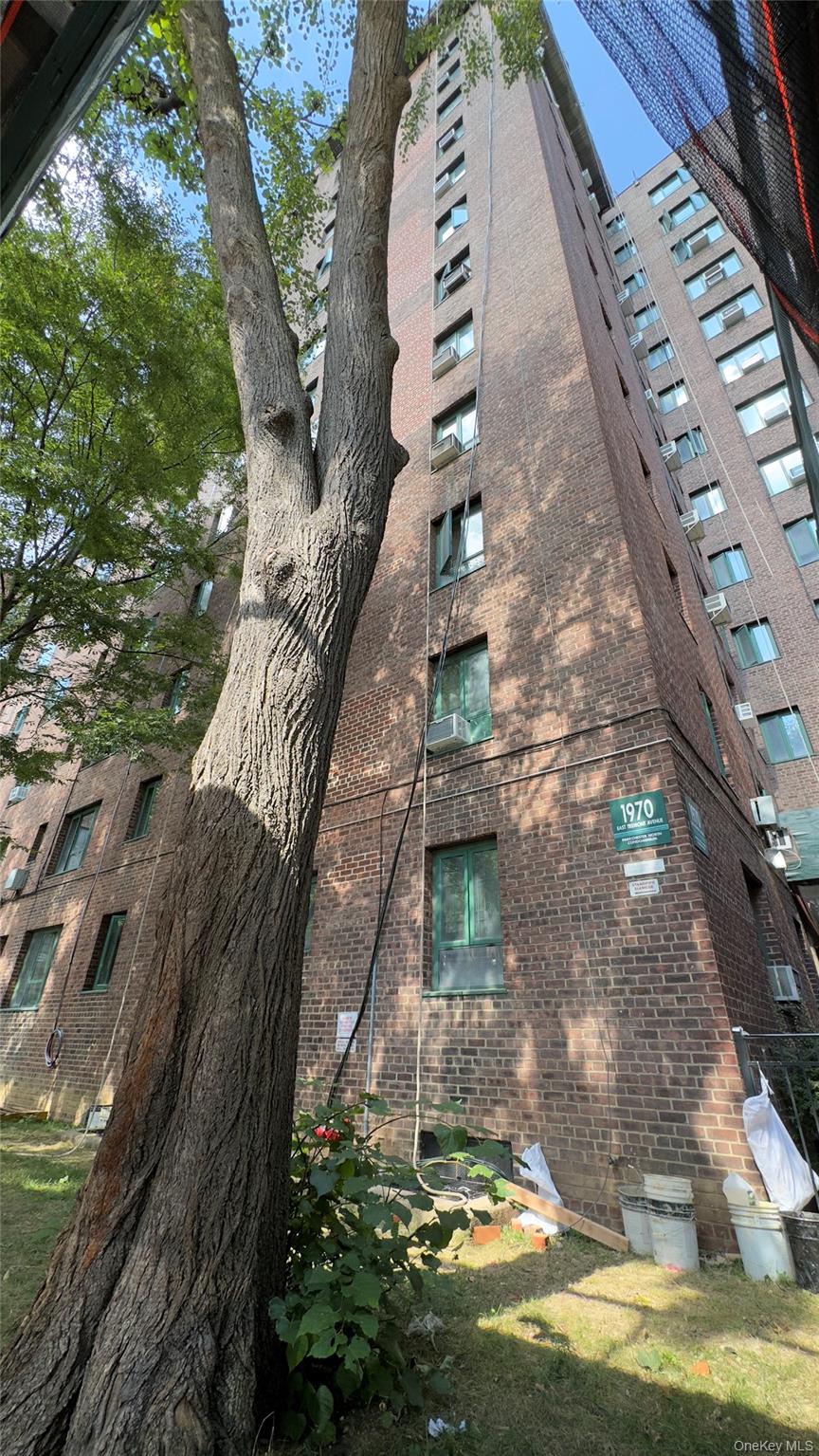 Welcome to Parkchester North! This spacious 1-bedroom, 1-bath rental offers a bright living room, an eat-in kitchen, and excellent natural light throughout. Located in a well-maintained 12-story elevator building with on-site management. All utilities are included except electricity, making budgeting simple and stress-free. Just moments from the 6 train, major bus lines, shopping, schools, and restaurantsâ€”everything you need is right at your doorstep. A great opportunity to enjoy comfort and convenience in the heart of the Bronx.