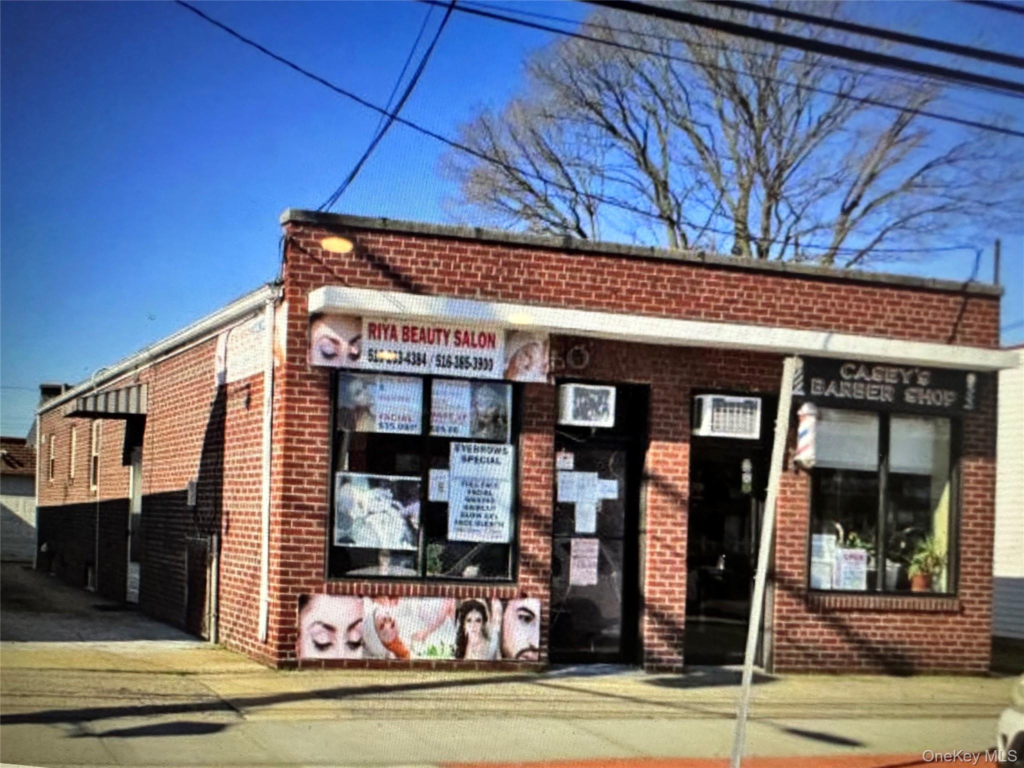 Prime Location, Mixed-use Property. Two Retail stores and a House have 3 Bedrooms, 2 Baths, a finished basement, and a Finished Basement And Detached Car Garage. Private Parking plus free street parking. Near Hospital, School, Public Parks, Public Transportation, and Highways. Please call for an appointment. Income-producing properties.Great for Investment or owner-occupancy.