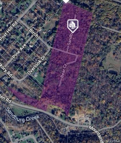 Unlock the potential of 35 Birch Street, Fallsburg, NY 12733, a rare 21.55-acre residential parcel located in the HR-Hamlet Residence zoning district in the heart of Sullivan County. This expansive property offers endless opportunities for developers and investors seeking a strategic location for their next project with a portion of this property already located in the water/sewer district. Zoned Hamlet Residence, the parcel is well-suited for development. Fallsburg/Mountain Dale is a growing hub in the Catskills, with proximity to major highways, resorts, and year-round attractions. Whether youâ€™re envisioning an estate property or development project this property is a blank canvas with tremendous upside. Donâ€™t miss the chance to secure this versatile property. This is Raw Land, NO survey or engineering maps are available. Hamlet Residence zoning info in documents for review prior to inquiring.