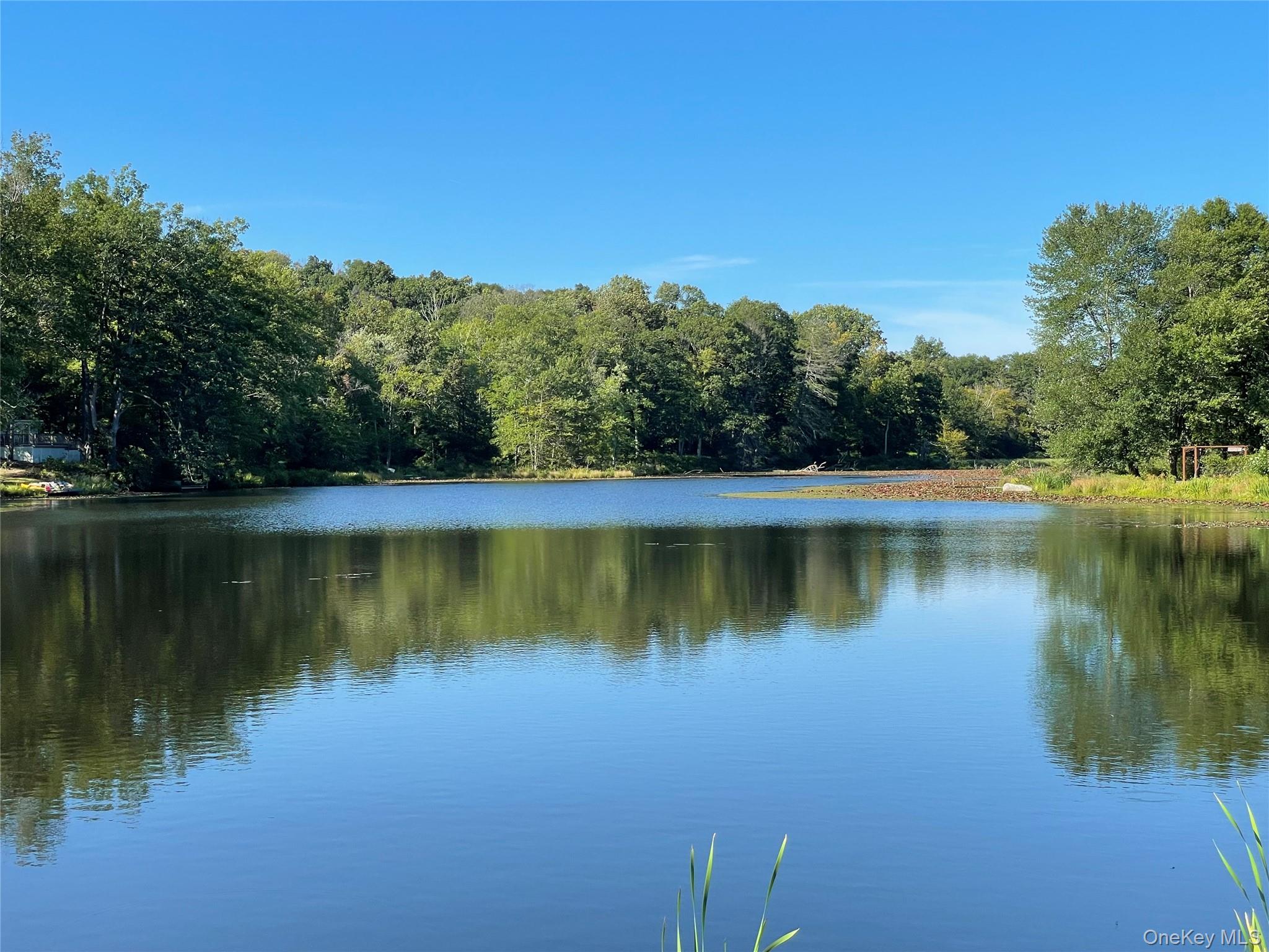 Own your own Lake on the edge of the Catskills. 26 acre bass pond for sale, assemblage of 12 lots surrounding and including Pine Bush Lake. Just West of the Hamlet of Pine Bush, this package includes 3 of these 12 lots which attained septic design approvals in 2013 and 2016, great percs here. Approvals need re-application. Dam retaining lake has been recently rebuilt to NYSDEC specs and approved. Full survey and 3 expired septic approvals attached as documents to this listing. Total package about 33 acres.