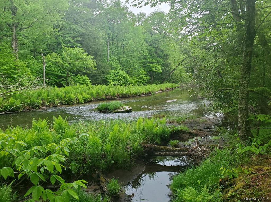 Escape to this Trout Fisherman&rsquo;s Paradise, a breathtaking 23+ acre property with over 1, 300 feet of frontage on the picturesque Mongaup River. Surrounded by rich natural beauty, this stunning parcel features a harmonious mix of woods and open space, offering the ideal setting to build your dream home or private retreat. The gently rolling terrain ensures privacy and enjoyment for years to come. This property includes two cleared areas of approximately two acres each, situated at opposite ends. One area is located just 100 feet from Creamery Road, while the other is 300 feet from the river and hosts a charming 10x12 cabin. A trail winds through the property to the river and continues along its scenic banks, making it perfect for fishing, leisurely walks, or ATV adventures. The Mongaup River itself is truly spectacular, providing crystal-clear waters filled with trout and serving as a refreshing spot to cool off on warm summer days. This property is close to a variety of attractions, including Bethel Woods Center for the Arts ( the original Woodstock Festival Site), Catskill Resorts Casino, Swinging Bridge Reservoir, and Kartrite Water Park. The area offers a delightful balance of serene natural surroundings and easy access to major routes, giving you the perfect blend of peace and connectivity. A Zoning-- Principal uses: Single-family homes and agricultural activities Accessory structures: Barns, sheds, garages, and small-scale farm buildings Lot size & setbacks: Usually requires minimum acreage (commonly 2â€“5 acres) and standard setbacks for residences Permits: Building permits from the Town of Bethel&rsquo;s Building Department are required for structural changes Special uses: Subject to Planning or Zoning Board approvals for certain activities or structures Tax # 19.-1-27
