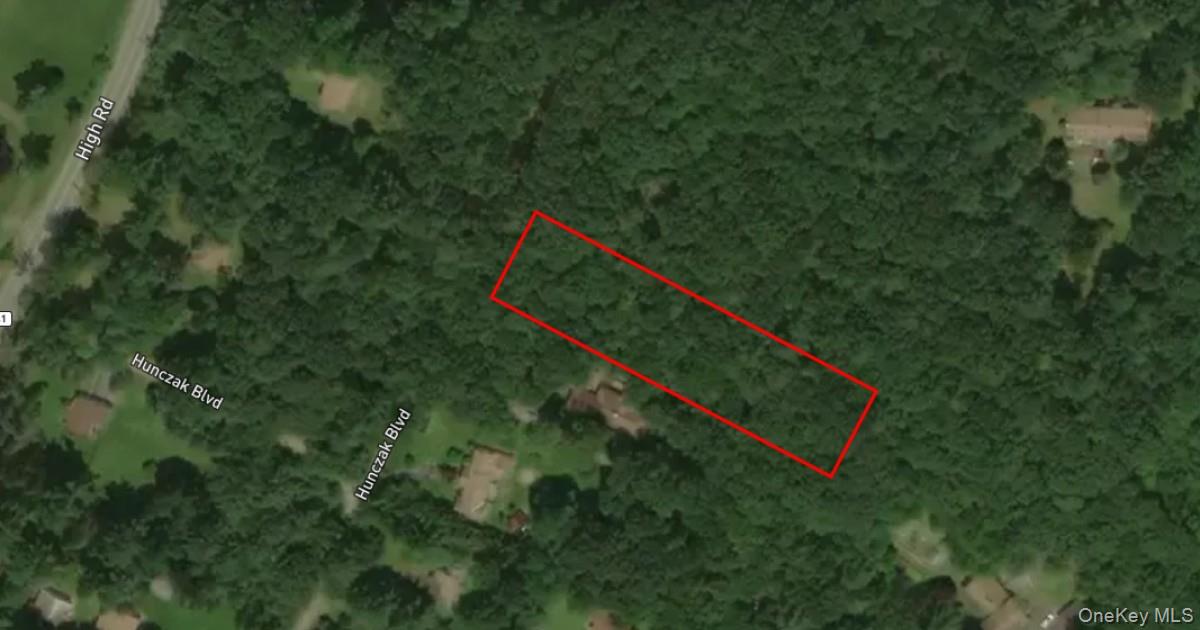 This 0.92-acre wooded lot in Glen Spey, NY offers a peaceful, private setting surrounded by natureâ€”ideal for a weekend retreat or full-time residence. Located in the scenic Upper Delaware River Valley, you&rsquo;ll enjoy nearby waterfalls, hiking trails, and charming towns with art galleries, cafÃ©s, and local markets. Just two hours from New York City, it&rsquo;s the perfect escape from the hustle without being too far from it. Priced below market value, this is the best deal available in Glen Spey right now. Donâ€™t miss out on owning a piece of the tranquil Catskills lifestyle.