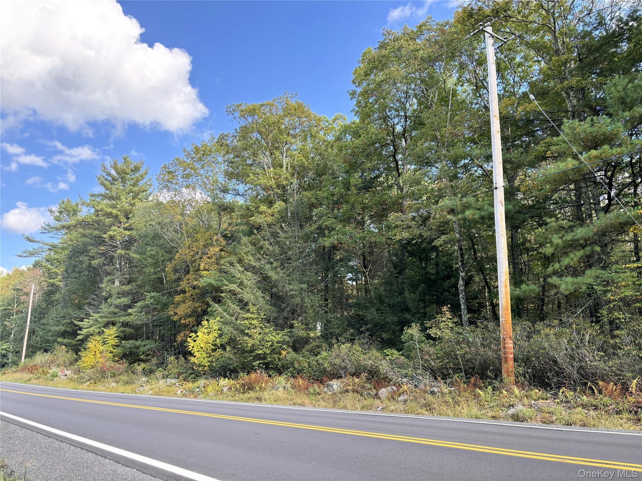 Secluded 5.19 acre building lot in Bethel, NYCome build your dream home on this 5.19 acre wooded parcel. Private location on a quiet main road. Sullivan West School District. Short ride to Bethel Woods Performing Arts Center, Resort World Casino and Delaware River. Public access lakes nearby for docking a boat, swimming, boating and fishing. Low Taxes