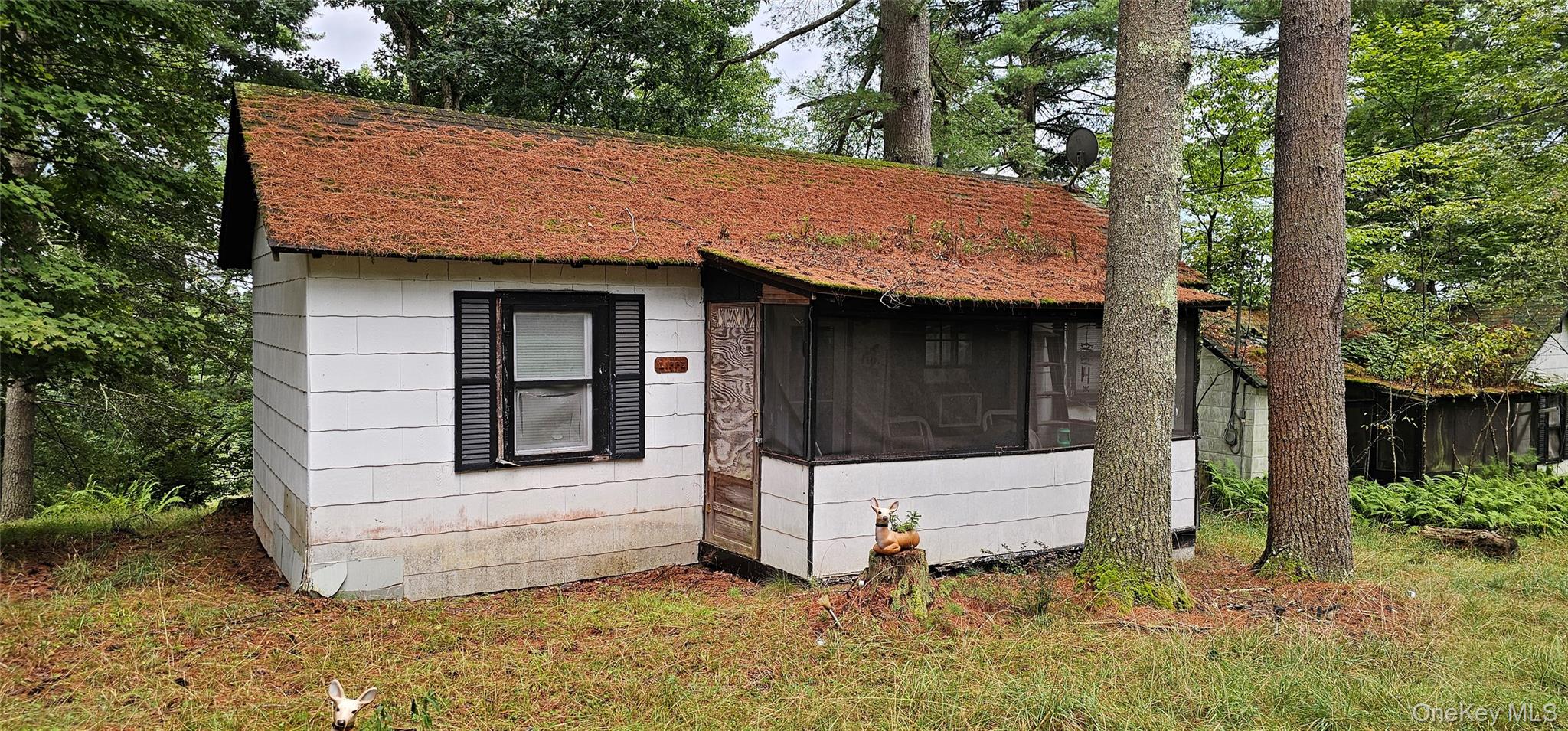 Handyman Country Cottage! Bring you hammer and nails to this cute 1940&rsquo;s seasonal home. Features include an open living area with a small kitchen, 1 bedroom, a full bath and a front enclosed porch. Set on a crawl space with a shared well (with a small fee for sharing the well expenses) and an unknown septic system. Surrounded by pine trees, this home has a big yard with a small shed. Needs TLC! This home would make a nice summer get-a-way. Only about a 10 minute drive to Narrowsburg and Barryville. Cash buyer needed. Sold as is with all contents. This one is priced to sell quickly. Come see it before it&rsquo;s gone.