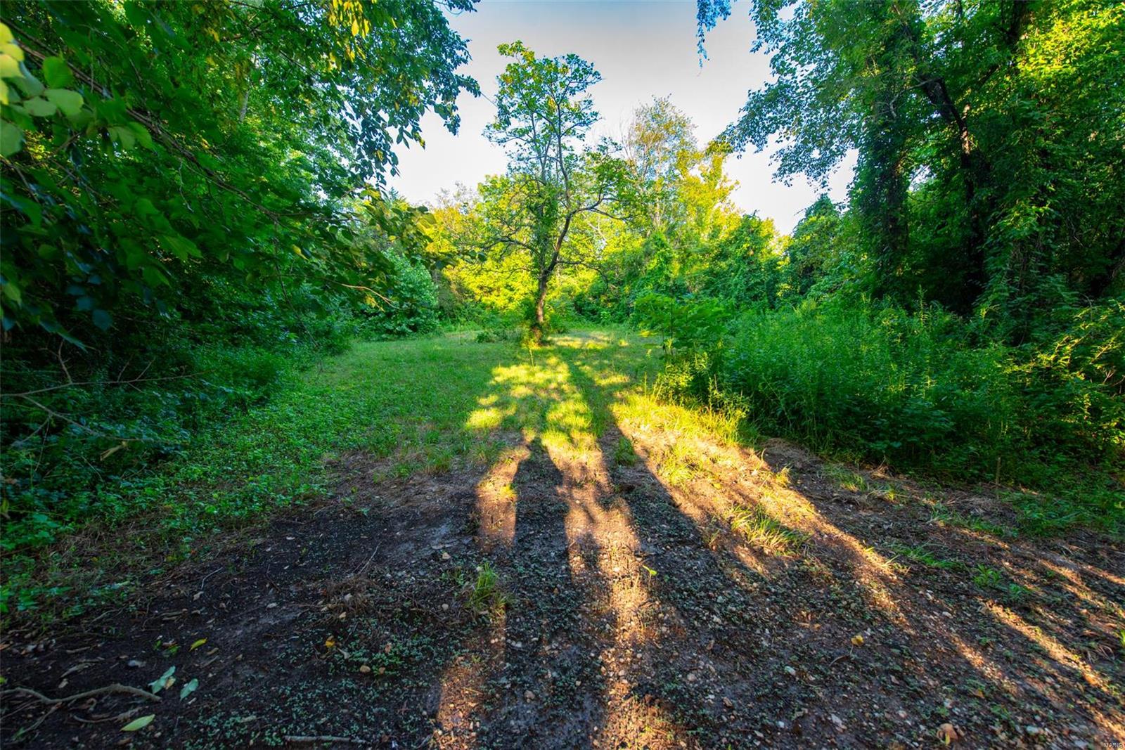 Of Hickory Or Jones, Steelville, Missouri