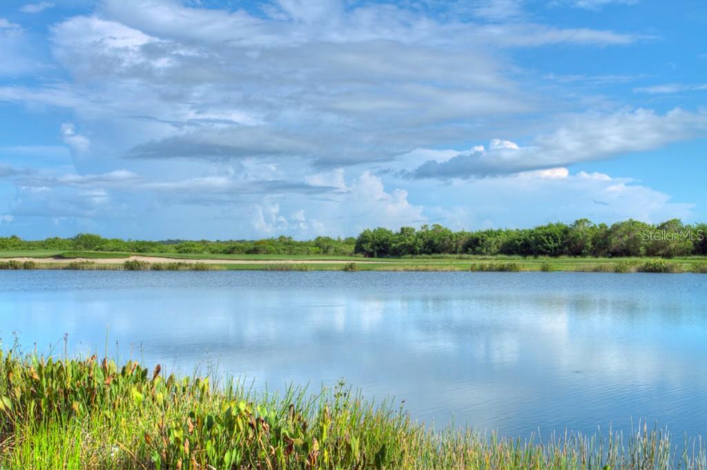 7305  RIVER HAMMOCK DR  #206, BRADENTON, FL, 34212