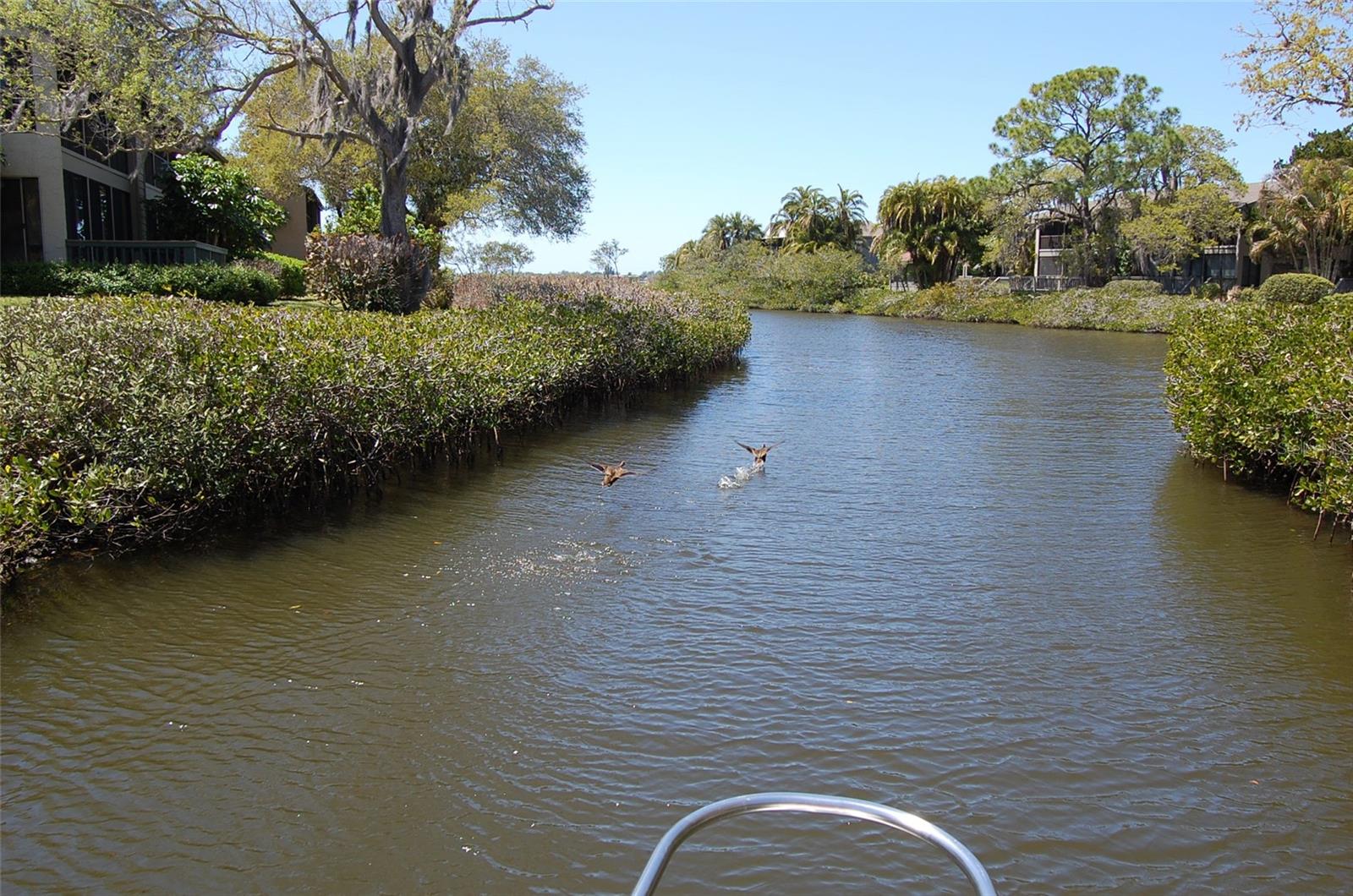 1712 GLENHOUSE DR #GL418, SARASOTA, FL, 34231