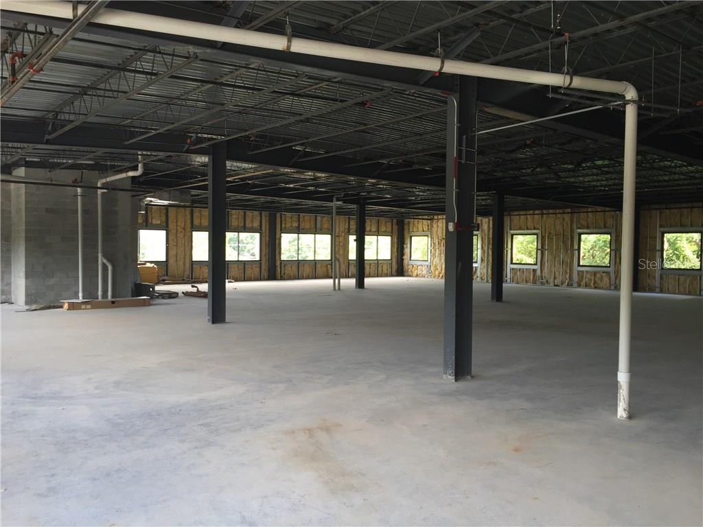 12206 BRUCE B DOWNS BLVD, TAMPA, FL, 33612