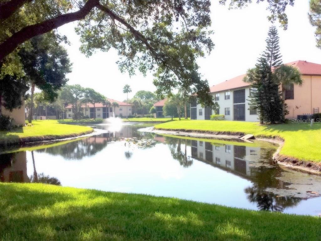 4449 46TH AVE W #4449, BRADENTON, FL, 34210