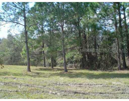 ZEPHYRHILLS, FL, 33544