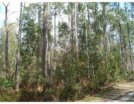 ZEPHYRHILLS, FL, 33544