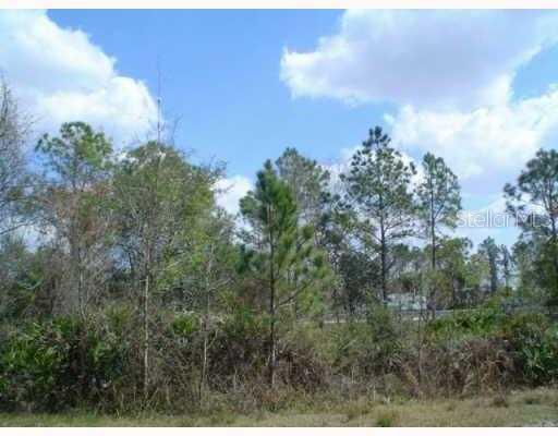 ZEPHYRHILLS, FL, 33544