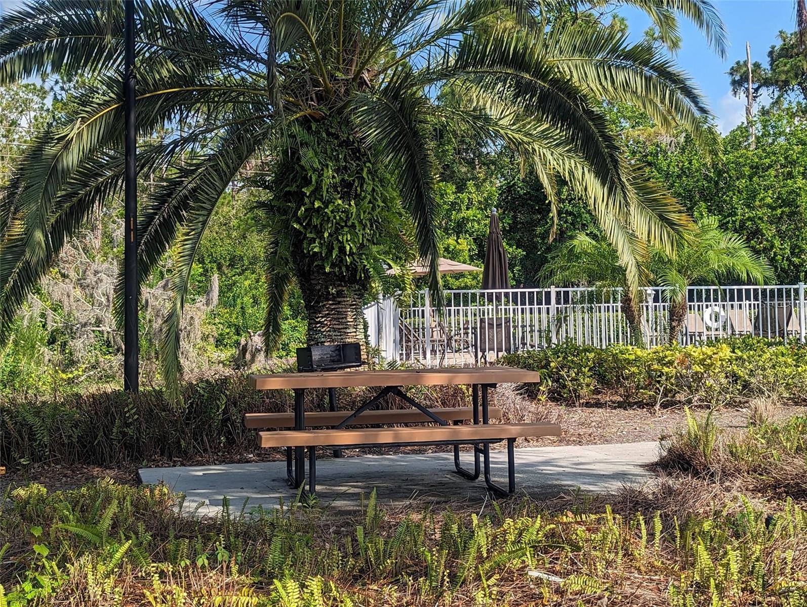 5350  HYLAND HILLS AVE  #2512, SARASOTA, FL, 34241