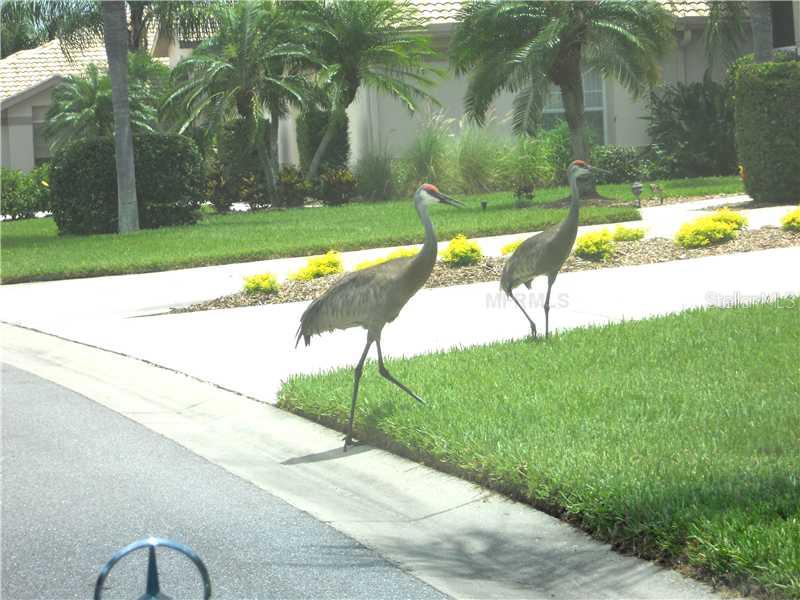 8911  VERANDA WAY  #222, SARASOTA, FL, 34238