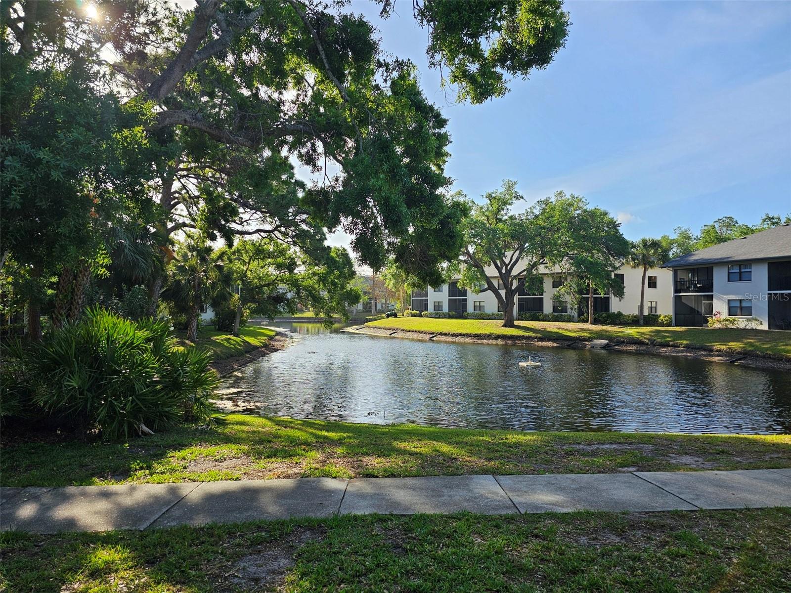4655 W 46TH STREET CT  #103, BRADENTON, FL, 34210