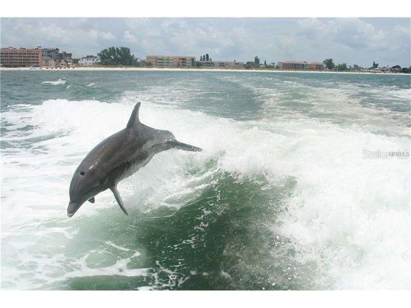 450 S GULFVIEW BLVD #208, CLEARWATER BEACH, FL, 33767