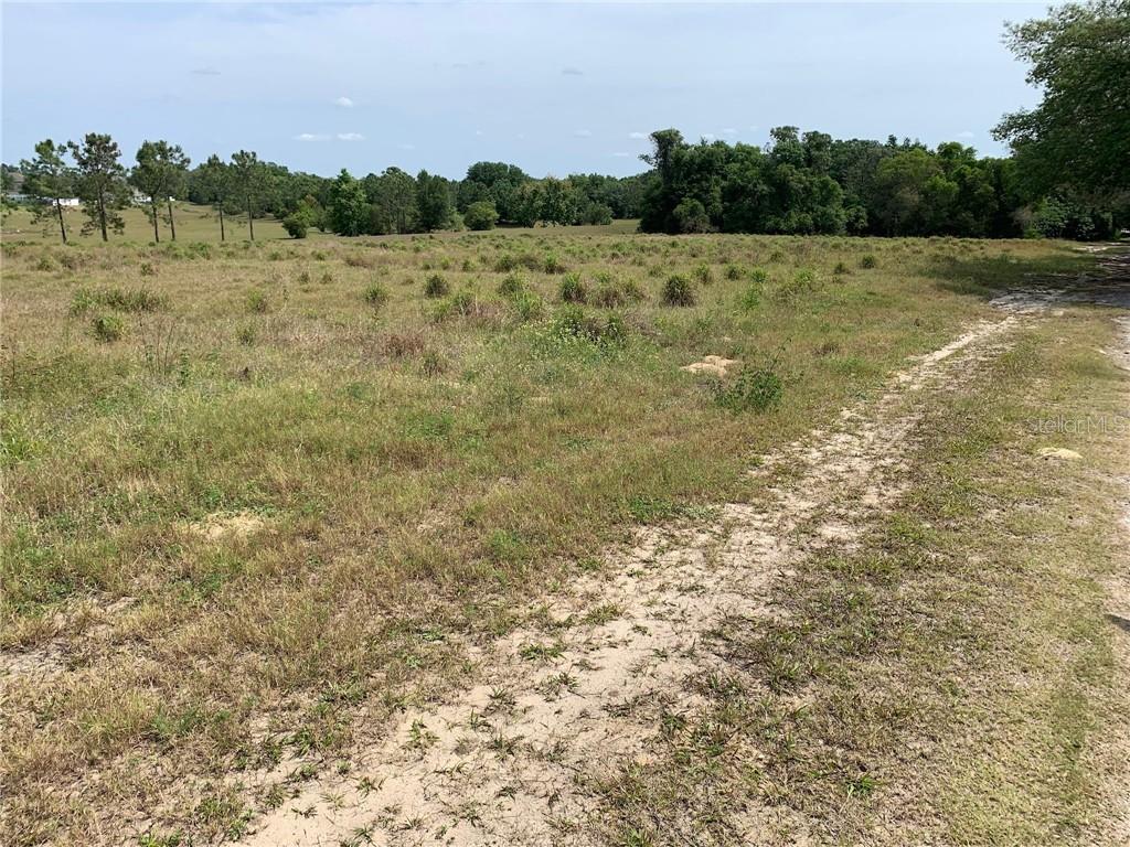 APOPKA, FL, 32703