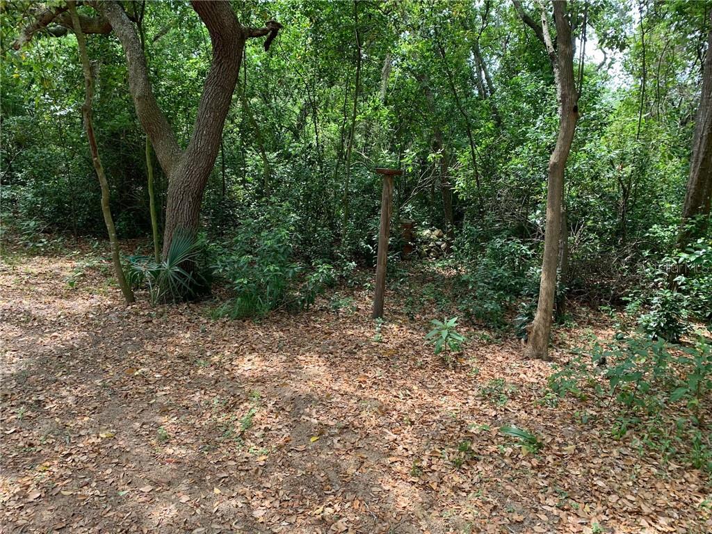 APOPKA, FL, 32703