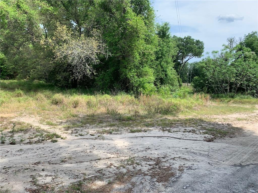 APOPKA, FL, 32703