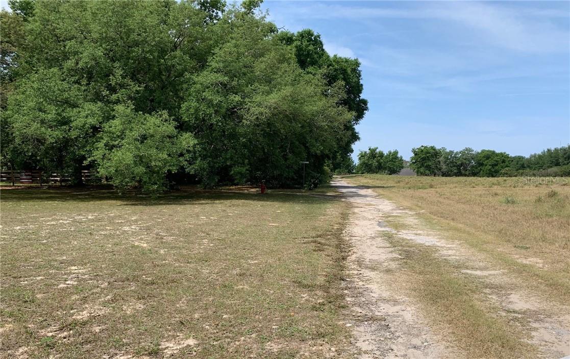 APOPKA, FL, 32703