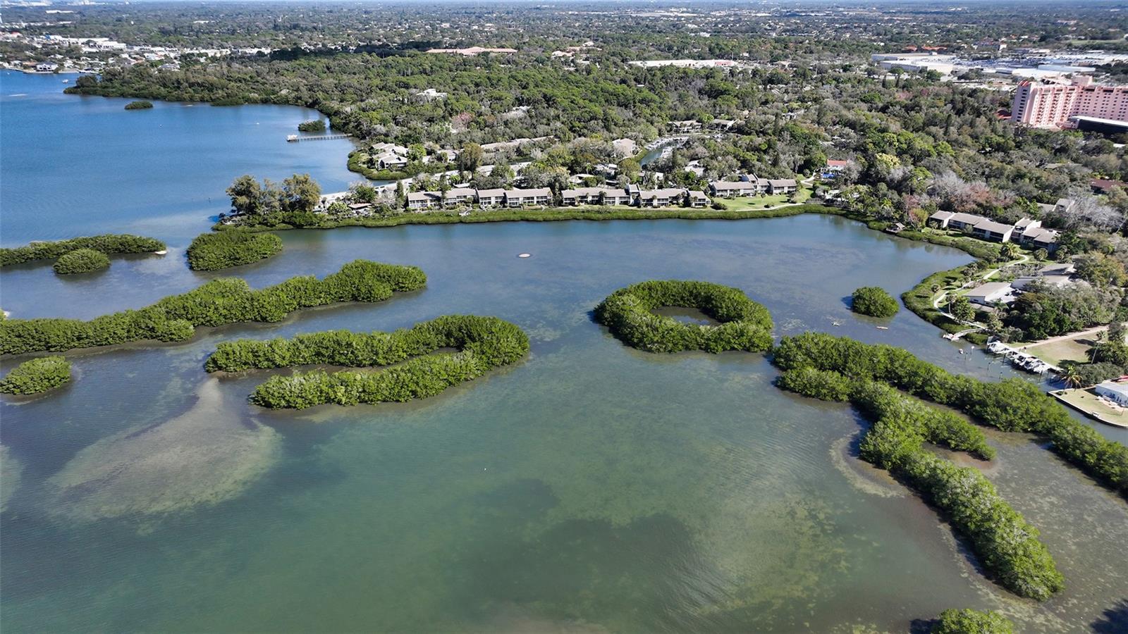 1531 CLOWER CREEK DR #HA241, SARASOTA, FL, 34231