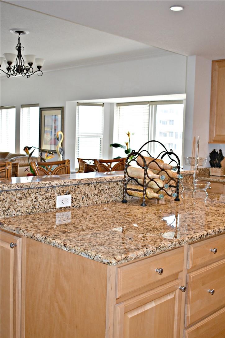 701 N ATLANTIC AVE W #401, NEW SMYRNA BEACH, FL, 32169