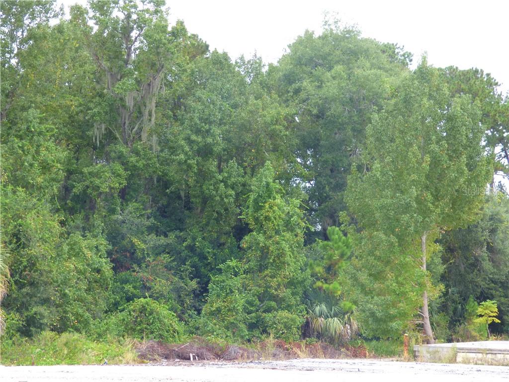 3131 US HIGHWAY 441/27, FRUITLAND PARK, FL, 34731