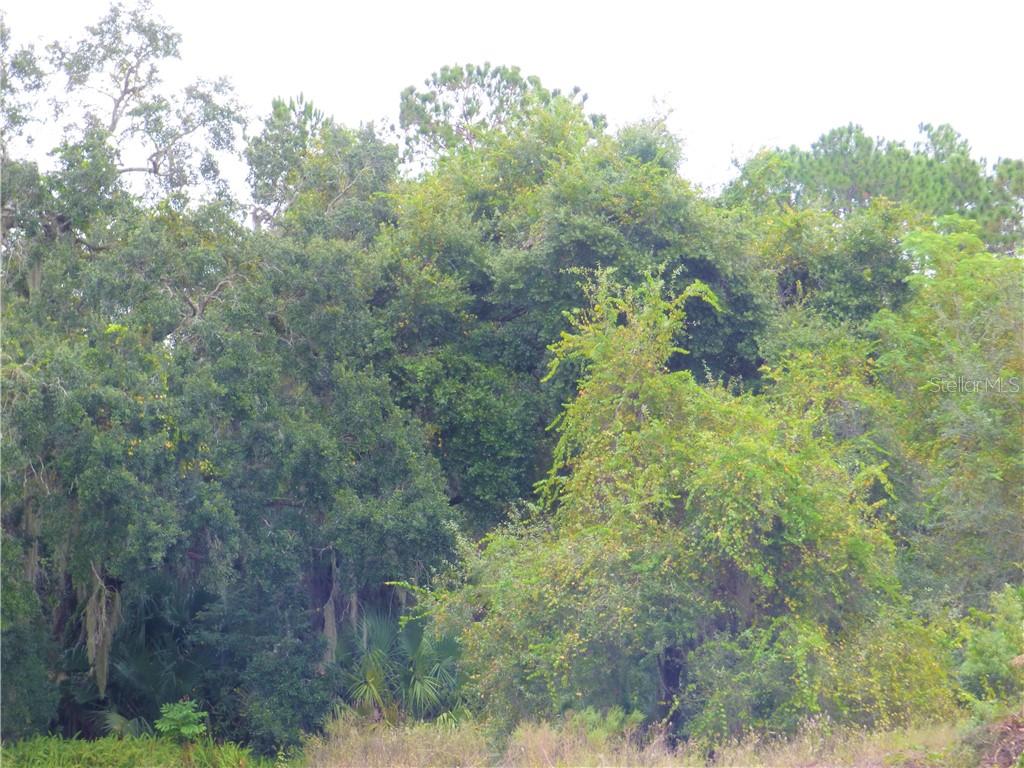 3131 US HIGHWAY 441/27, FRUITLAND PARK, FL, 34731