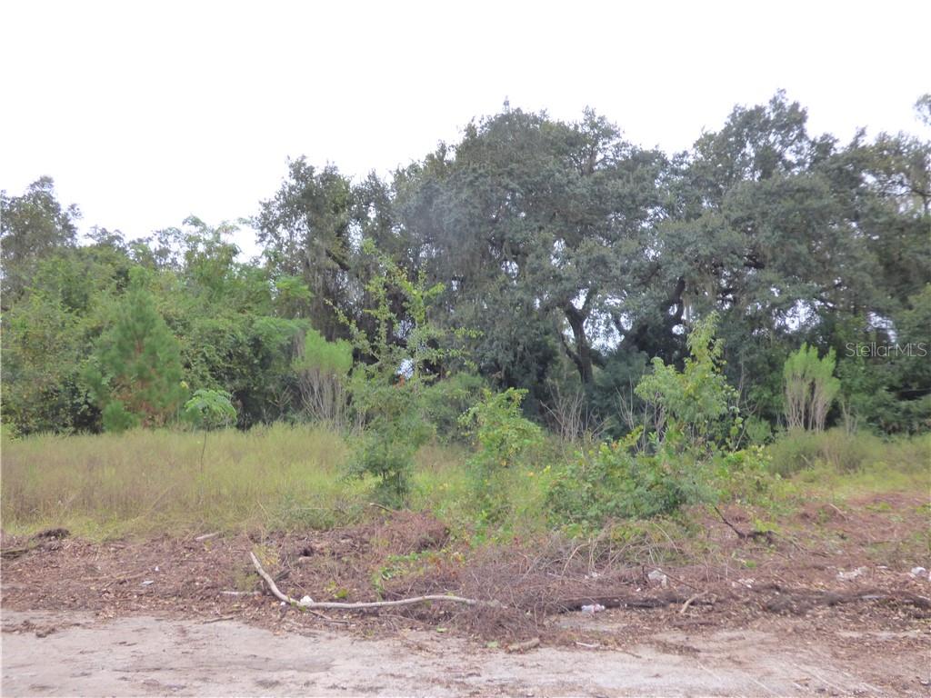 3131 US HIGHWAY 441/27, FRUITLAND PARK, FL, 34731