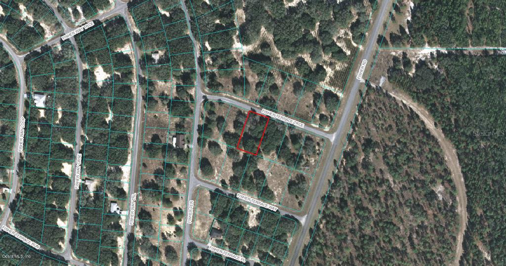 00 FISHER TERRACE TRCE, OCKLAWAHA, FL, 32179