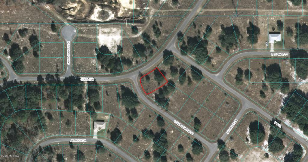 00 GUAVA TERRACE CT, OCKLAWAHA, FL, 32179