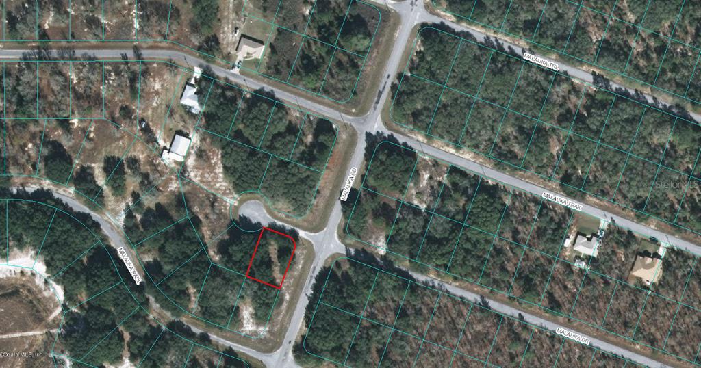 00 MALAUKA DR, OCKLAWAHA, FL, 32179