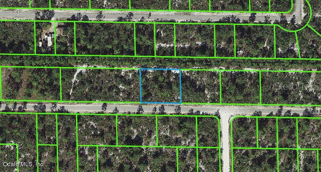 3337 Rhododendron RD, LAKE PLACID, FL, 33852