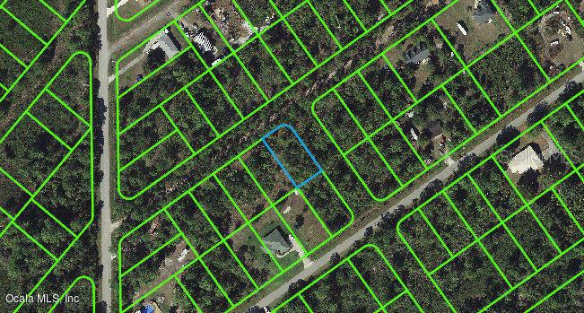 1011 Dearing ST, LAKE PLACID, FL, 33852