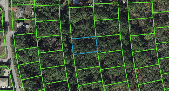 217 Harmony CT, LAKE PLACID, FL, 33852