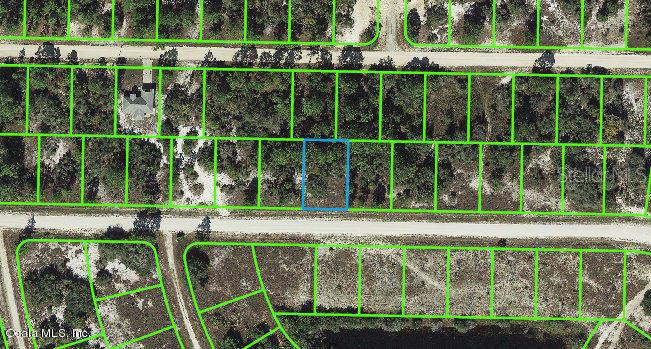 402 Jack Weisser BLVD, LAKE PLACID, FL, 33852