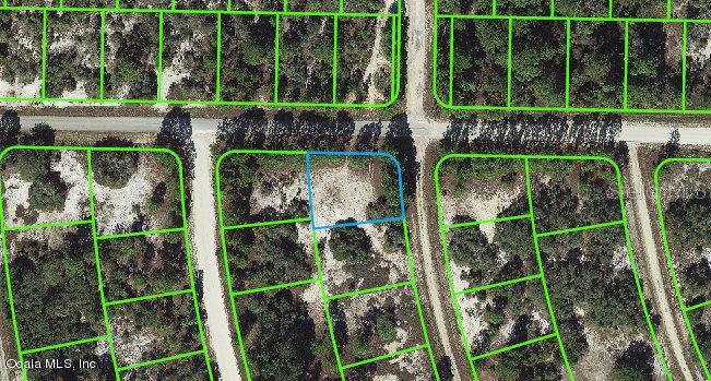 379 Jack Weisser BLVD, LAKE PLACID, FL, 33852