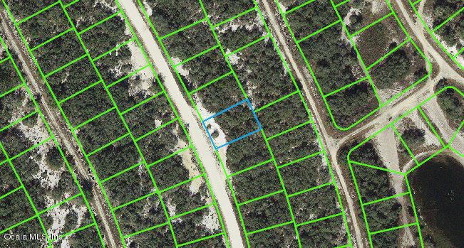 217 Hopedale DR, LAKE PLACID, FL, 33852