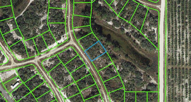 119 Summer Oak DR, LAKE PLACID, FL, 33852