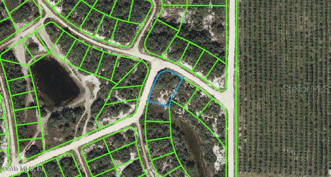 131 Danby DR, LAKE PLACID, FL, 33852