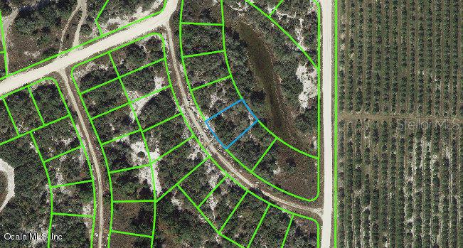 121 Danby DR, LAKE PLACID, FL, 33852