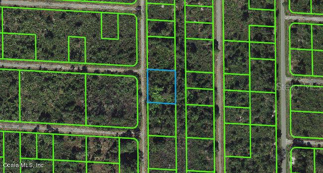 941 Davis ST, LAKE PLACID, FL, 33852