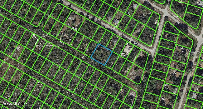 1056 FREEHILL AVE, LAKE PLACID, FL, 33852