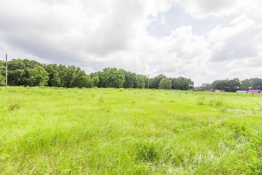 318 SKYBLUE LN, AUBURNDALE, FL, 33823
