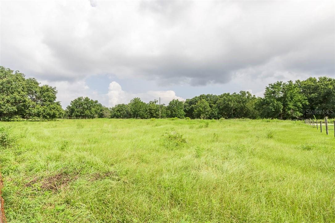 318 SKYBLUE LN, AUBURNDALE, FL, 33823