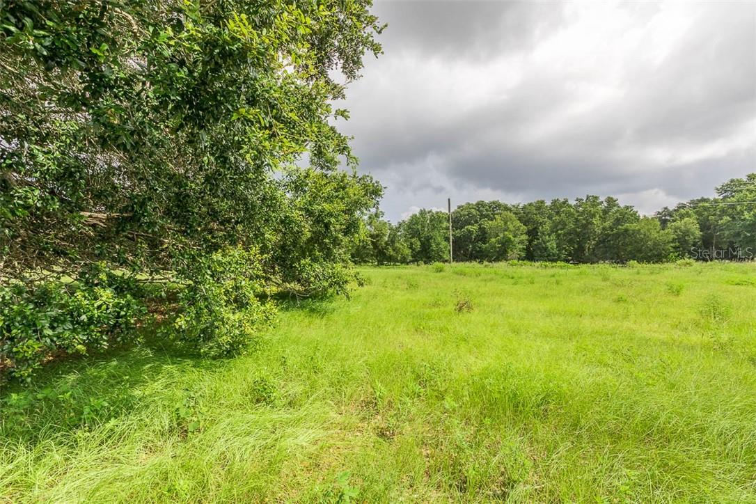 318 SKYBLUE LN, AUBURNDALE, FL, 33823